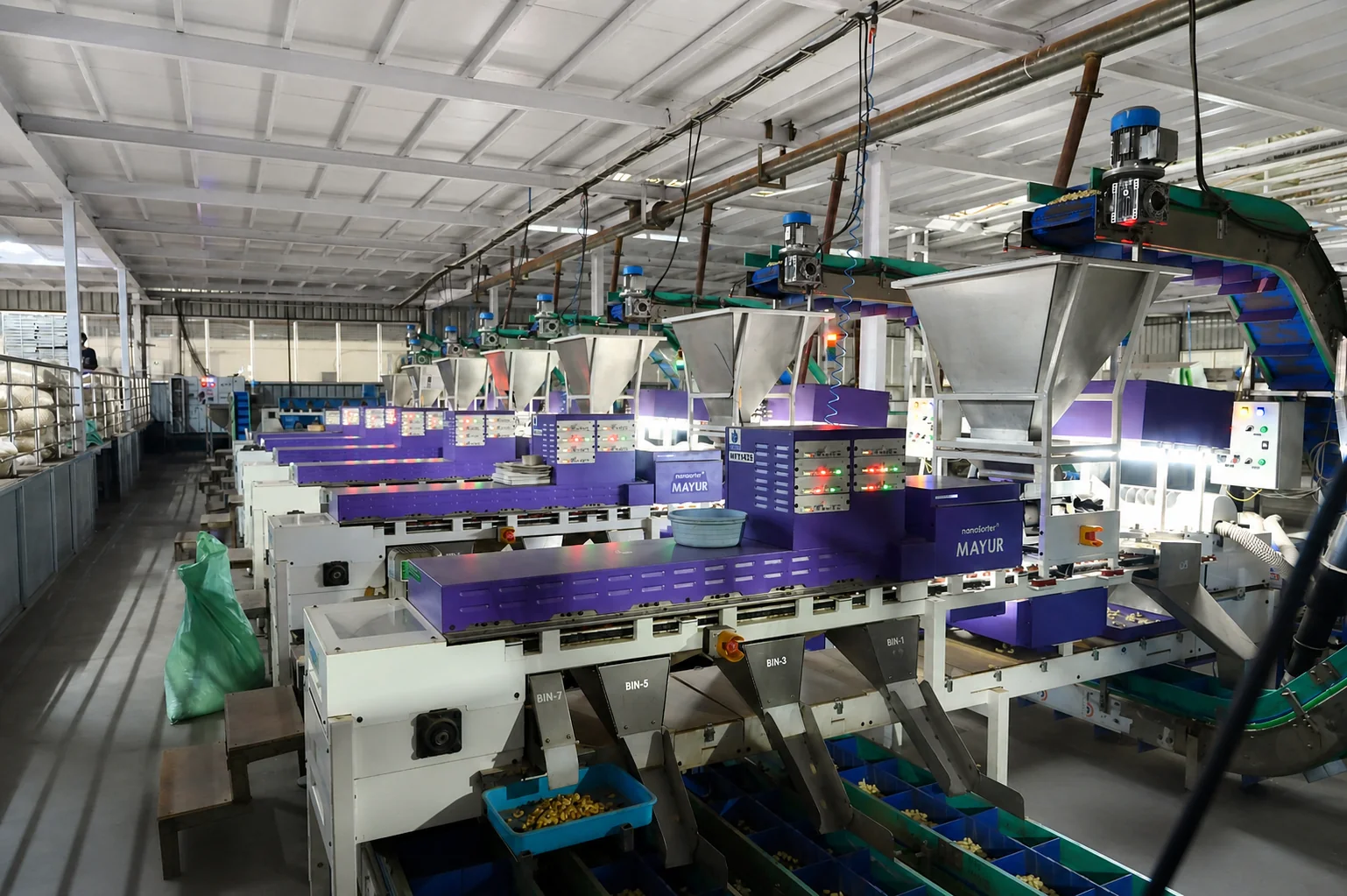 Automated cashew grading and separation machines