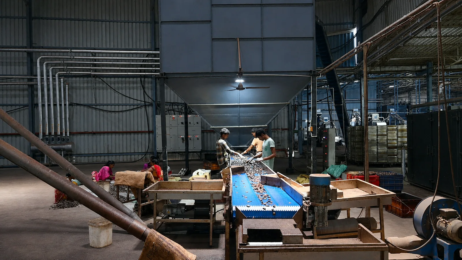 Team members inspecting cashews on the sorting line