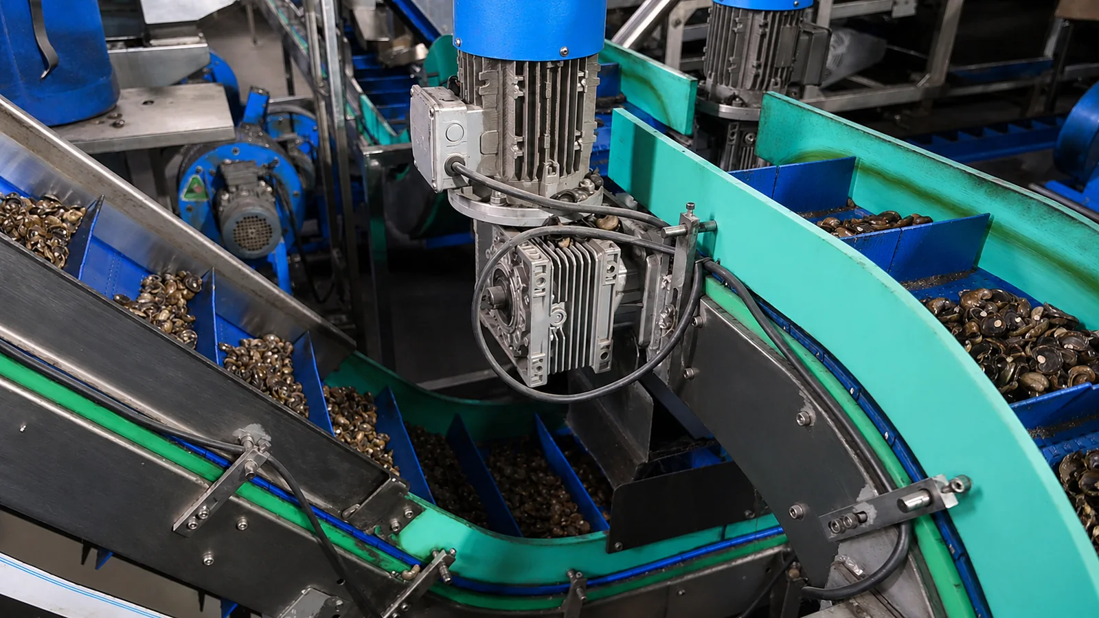 Cashew shell conveyor system