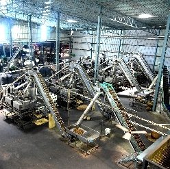 Cashew processing machinery